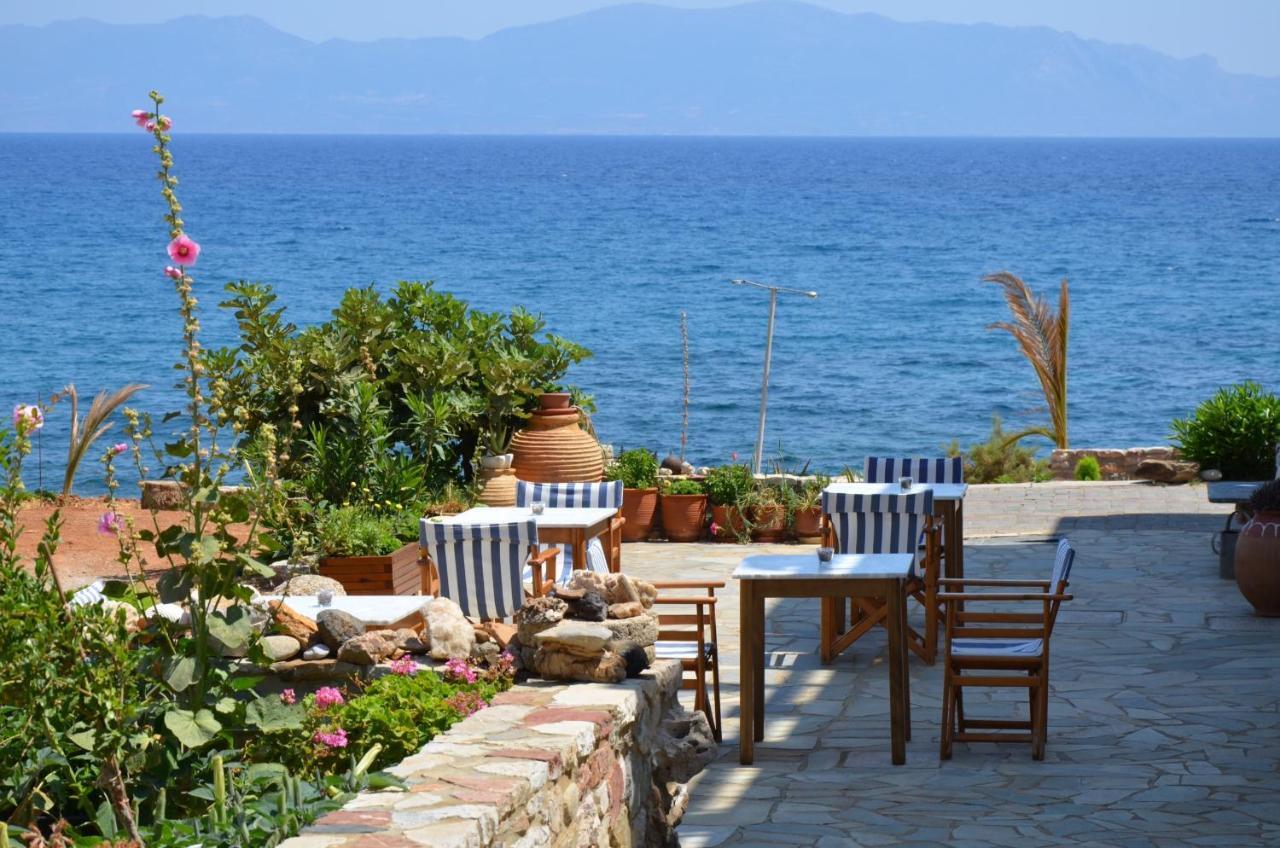 Pelagia Aphrodite Hotel Agia Pelagia  Удобства фото